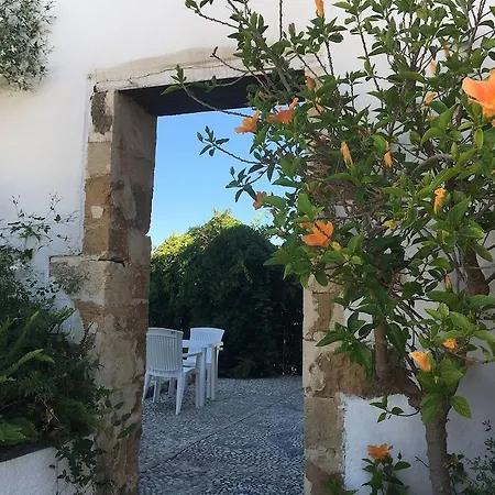 Ξενοδοχείο Oasis 2*