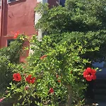 Oasis 2*