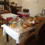 Oasis فندق