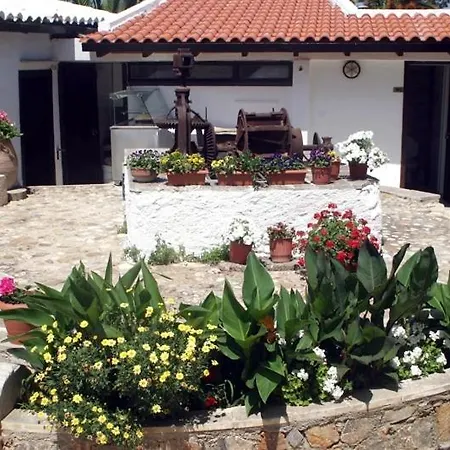 Готель Oasis