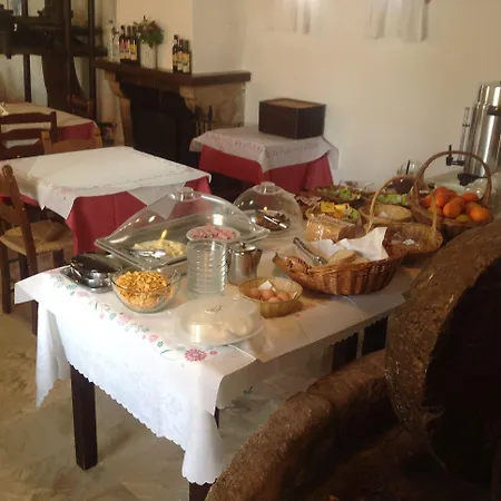 Oasis فندق