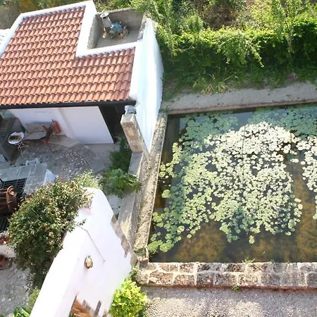 Готель Oasis Chania (Crete)