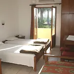Oasis 2*