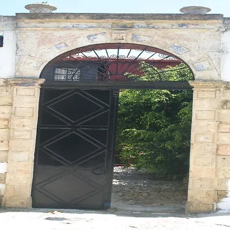 Oasis فندق خانيا