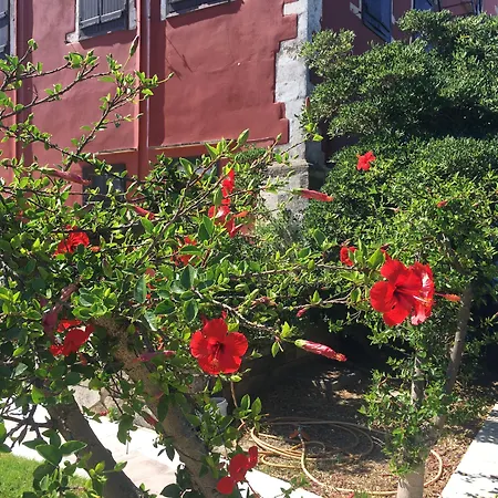 Oasis Chania (Crete)