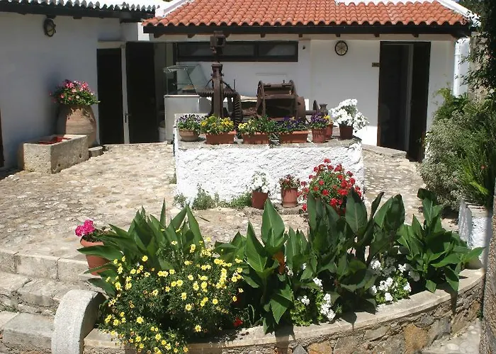 Hotel Oasis Chania (Crete)