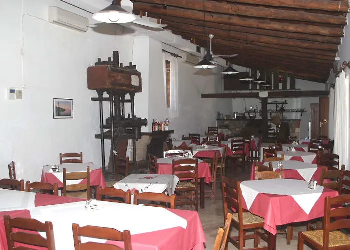 Oasis Chania (Crete)