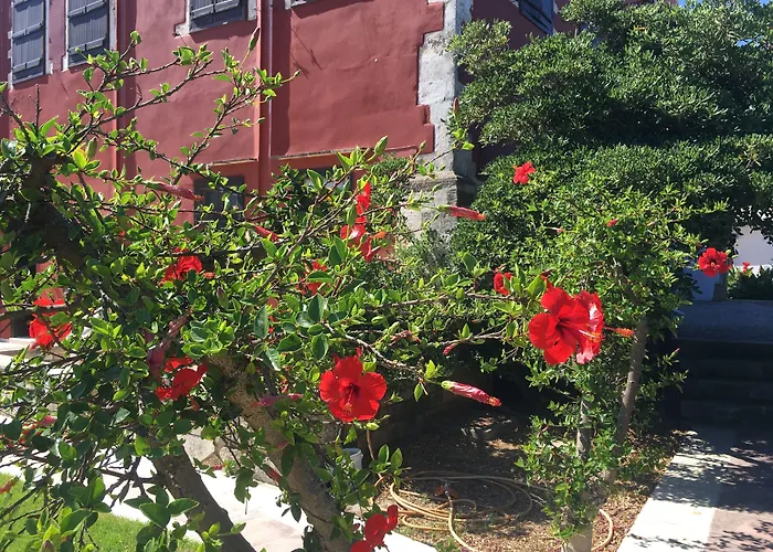 Oasis Chania (Crete)